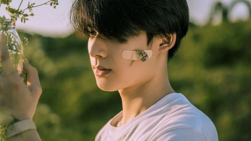 Lời chúc ngắn gọn đăng mạng xã hội