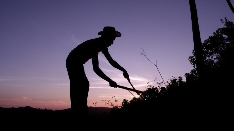 Những câu nói hay về cuộc sống mưu sinh bằng tiếng Anh