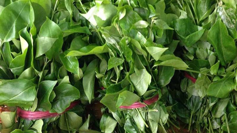 Giá trị dinh dưỡng của rau sắng