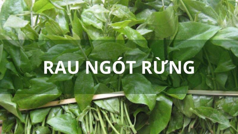 Rau sắng có giống rau ngót không?