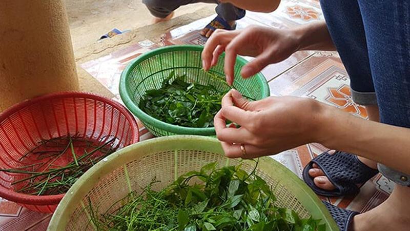 Sơ chế rau sắng đúng cách