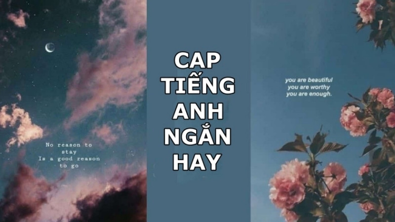 Câu hỏi thường gặp