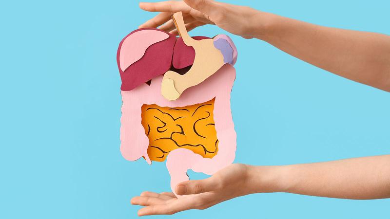 Nước kiềm La Vie hỗ trợ hệ tiêu hóa