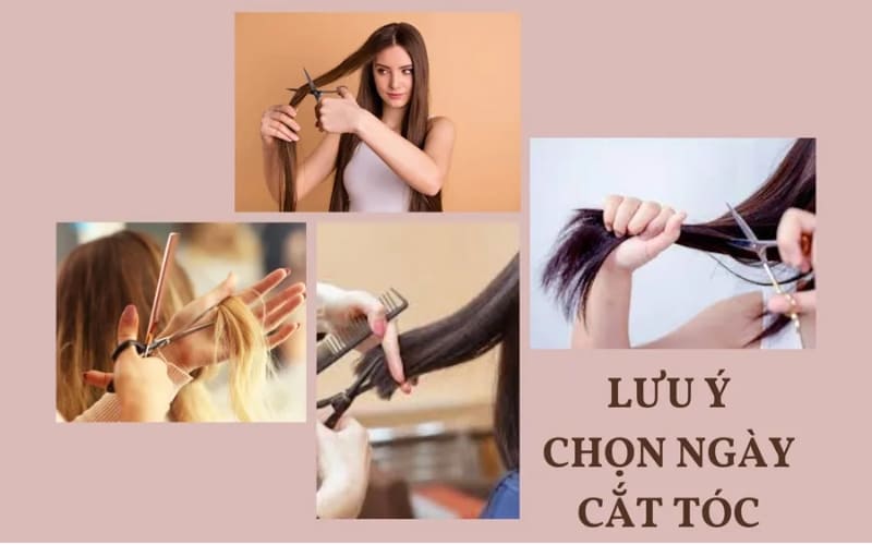 Một số lưu ý giúp bạn chọn ngày cắt tóc phù hợp. Một số lưu ý giúp bạn chọn ngày cắt tóc phù hợp.