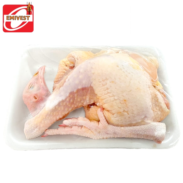 Gà vườn đất đỏ