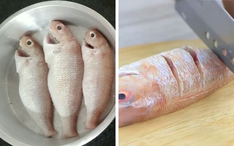 Sơ chế cá đúng cách giúp khử mùi tanh hiệu quả.