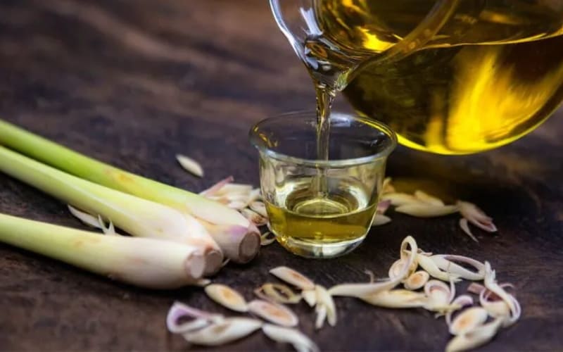 Sử dụng tinh dầu đúng cách để bảo vệ sức khỏe.