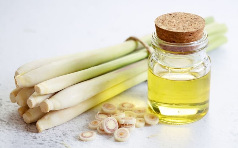 Tinh dầu sả chanh vừa an toàn vừa mang hương thơm.