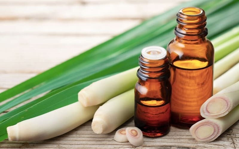 Tinh dầu sả chanh tự nhiên giúp đuổi muỗi hiệu quả.