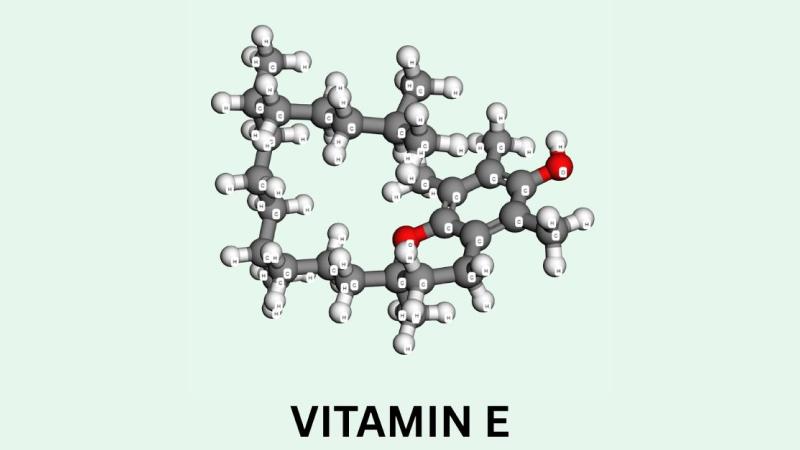 Định nghĩa vitamin E