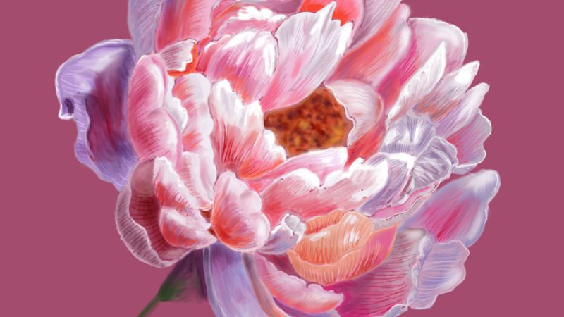 Hình nền hoa mẫu đơn nghệ thuật 3