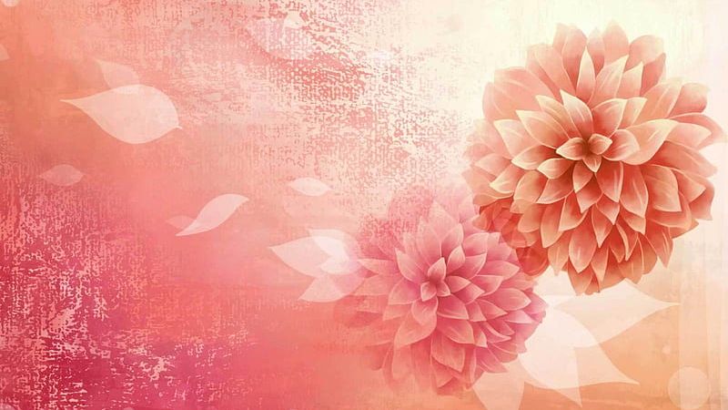Hình nền hoa mẫu đơn 3D 3