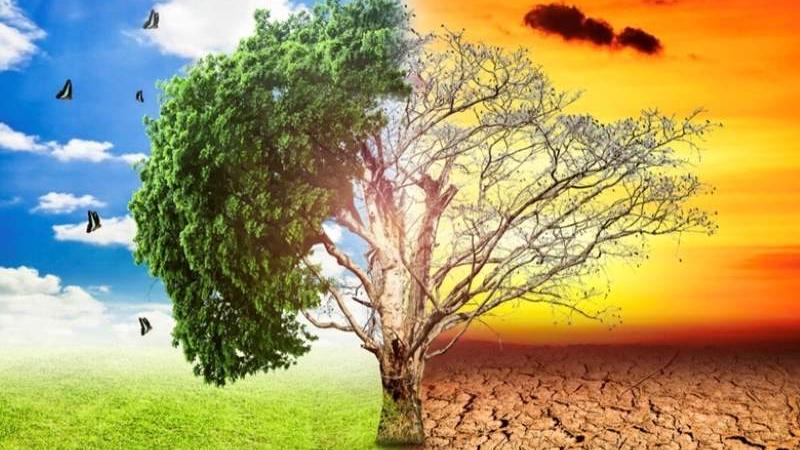 Độ ẩm cao hoặc quá khô Độ ẩm cao hoặc quá khô
