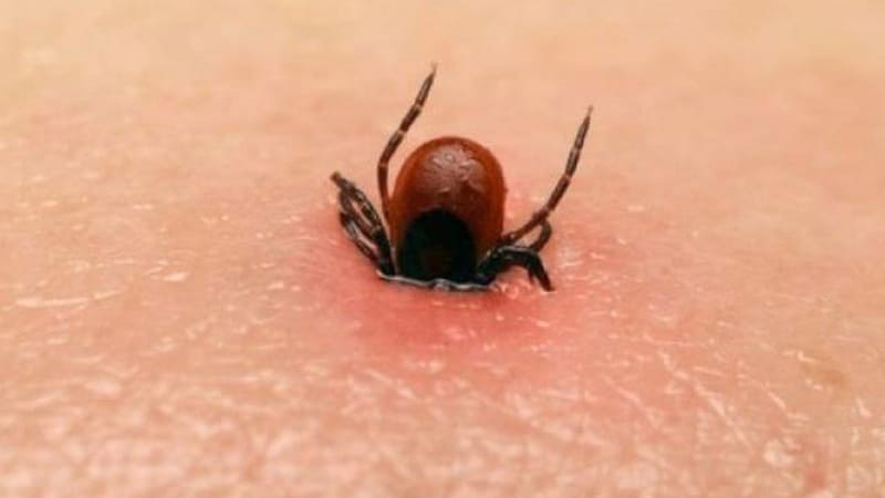 Môi trường sống Môi trường sống