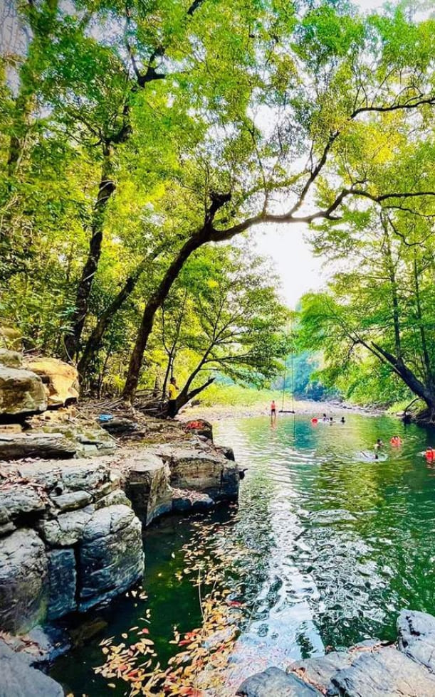 Trekking Bù Gia Mập: Kinh nghiệm, lịch trình và chi phí từ A-Z