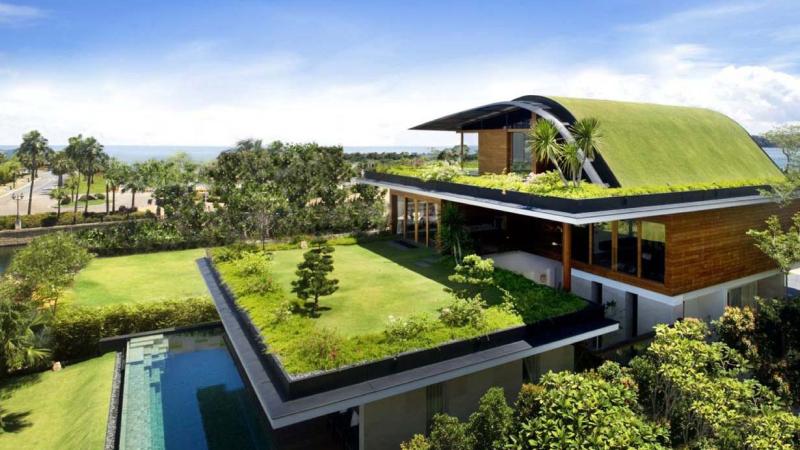Trồng cây xanh trên mái Trồng cây xanh trên mái