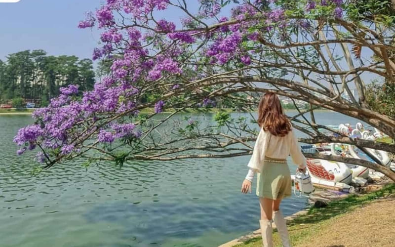 Trang phục sáng màu làm nổi bật sắc tím hoa.