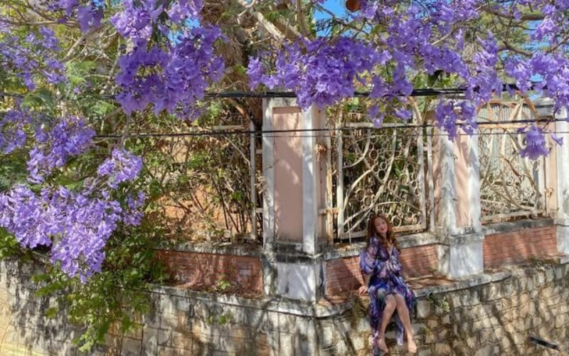 Thiền Viện Trúc Lâm kết hợp hoa tím và không gian yên bình.