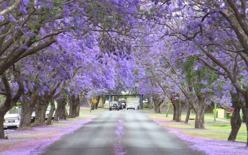 Du khách nên chọn góc và thời điểm hợp lý.