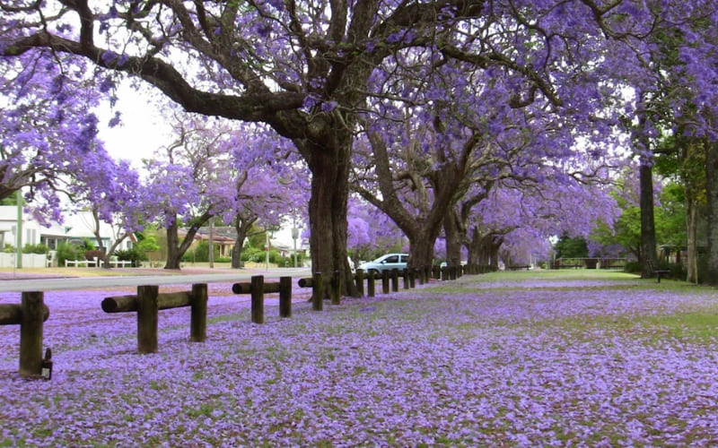 Nên tránh đông người và theo dõi thời tiết.