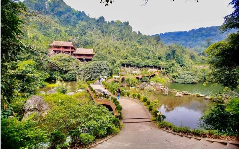 Thư giãn giữa thiên nhiên, yên tĩnh và không gian trong lành.