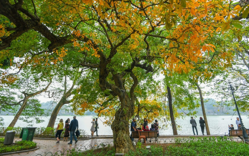 Lựa chọn mùa xuân hoặc thu thời tiết đẹp và dễ chịu.