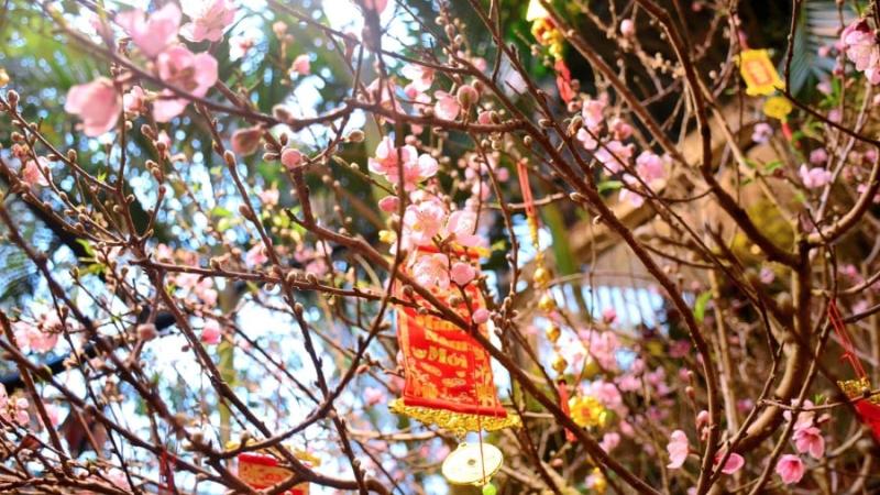 Mùng 1 Tết 2027 vào ngày nào?