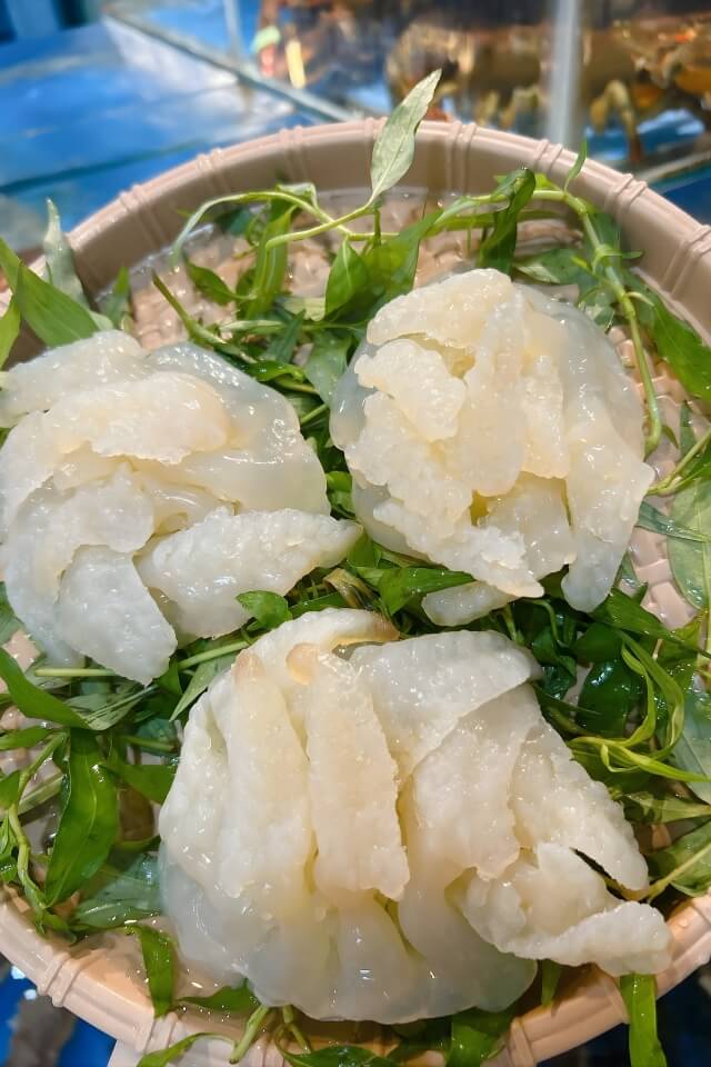 Sứa chân mèo là gì? Có ăn được không và cách chế biến ngon