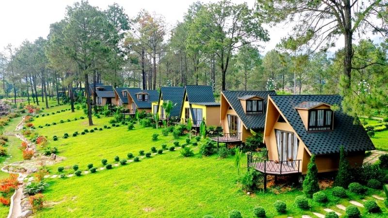 Nên đặt phòng sớm vào mùa cao điểm và chọn phương tiện phù hợp để săn hoa mận