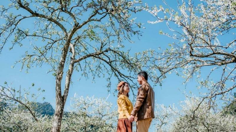 Nên chọn góc thấp, tận dụng ánh nắng tự nhiên và tạo dáng nhẹ nhàng giữa rừng hoa trắng