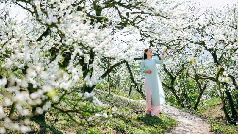 Hãy giữ gìn vệ sinh, tôn trọng văn hóa bản địa và tuyệt đối không tự ý bẻ cành, hái hoa