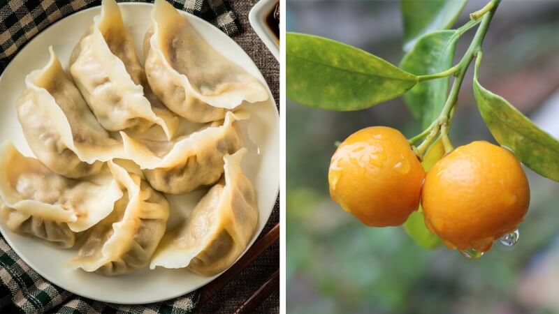 Nguyên liệu làm Mandu chiên sốt tắc