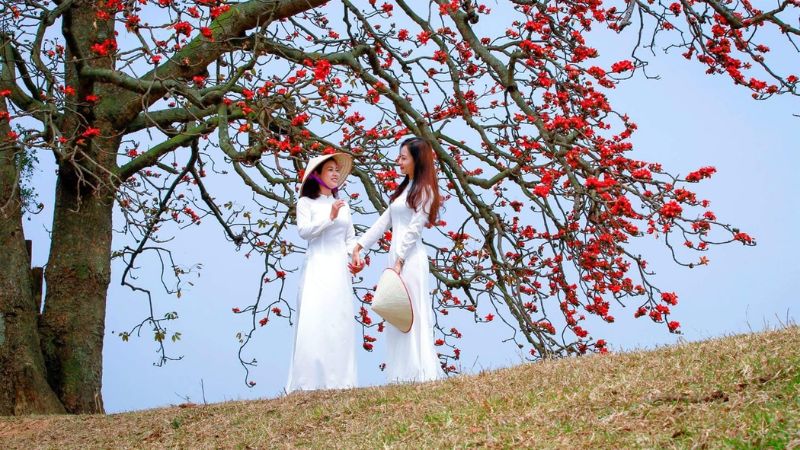 Cách viết bài thơ về hoa gạo tháng 3