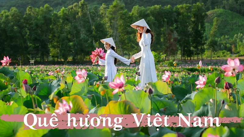 Những câu thơ hay về quê hương, đất nước