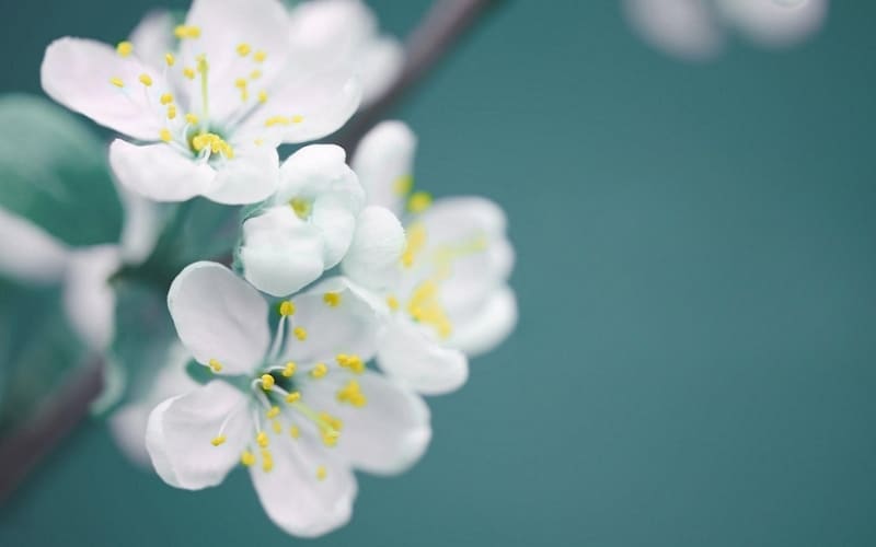 Bài thơ gợi nhớ mùa hè và ký ức