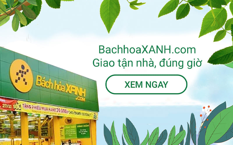 Mua Ken lùn ở đâu giá tốt?