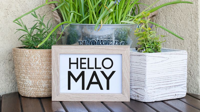 STT chào tháng 5 ngắn gọn