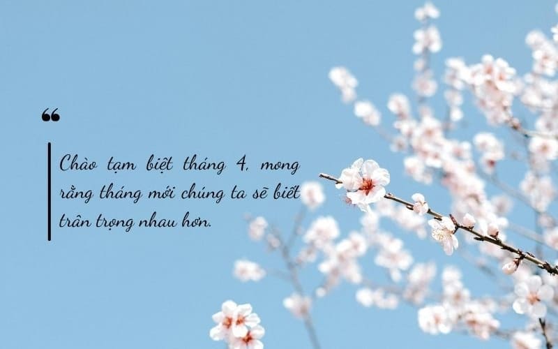 Câu chữ vui nhộn, bắt trend, mang lại tiếng cười.