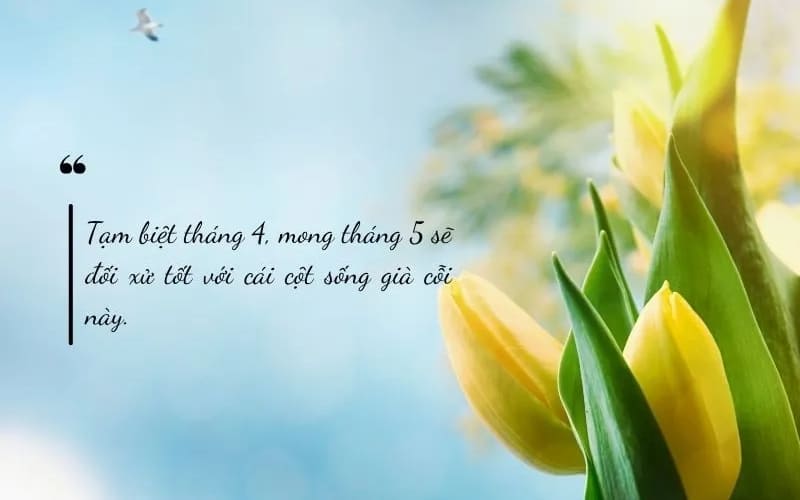 Những câu chữ ngắn gọn, đủ đầy cảm xúc.