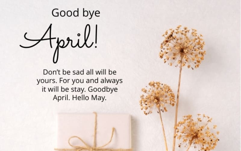 Câu tiếng Anh tinh tế, ngắn gọn, giàu cảm xúc.