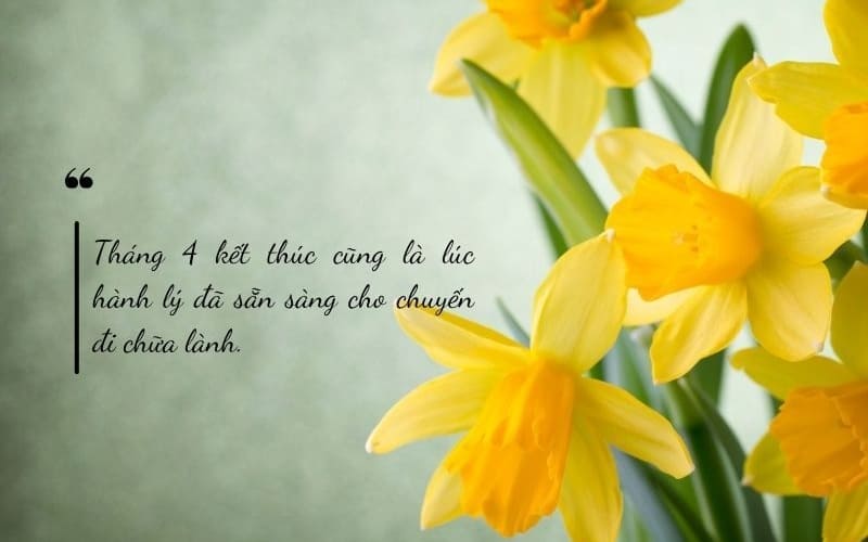 Những suy ngẫm sâu sắc về hành trình đã qua.