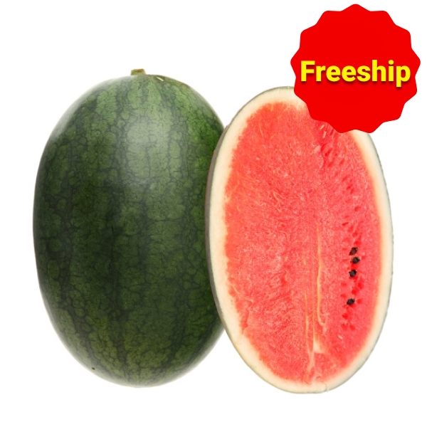 Dưa hấu đỏ 1 trái