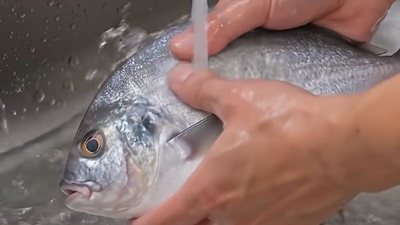Rửa sạch cá Rửa sạch cá