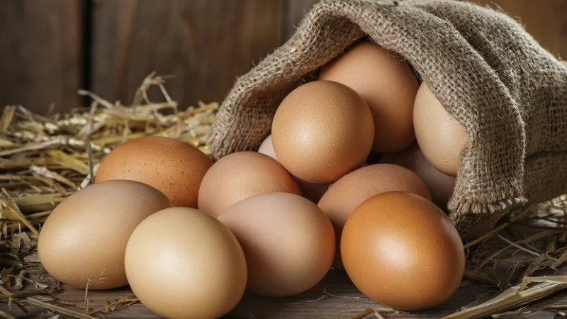 Không cần thiết phải rửa trứng trước khi nấu Không cần thiết phải rửa trứng trước khi nấu