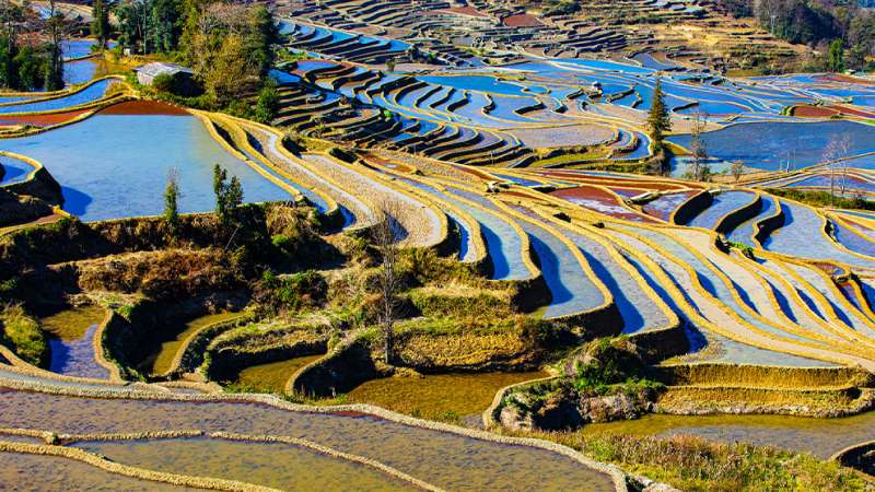 Ruộng bậc thang Nguyên Dương Ruộng bậc thang Nguyên Dương
