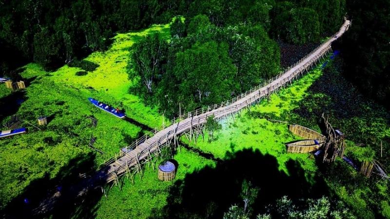 Rừng tràm Trà Sư