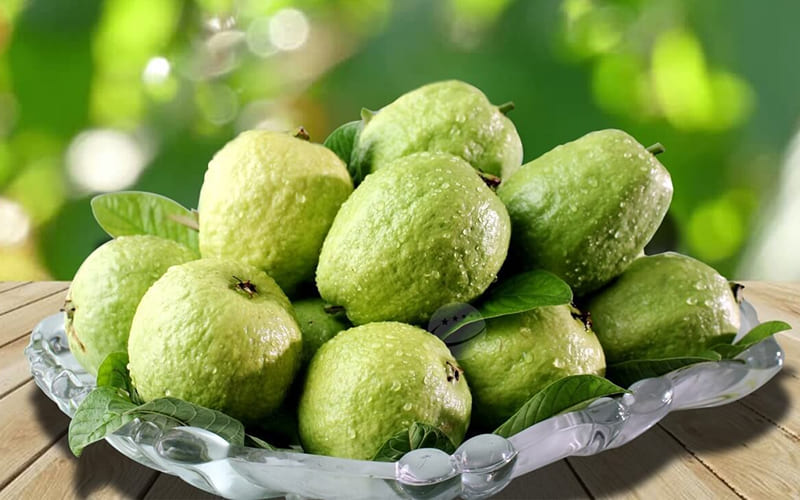 Bảo quản ngăn mát đúng cách Bảo quản ngăn mát đúng cách