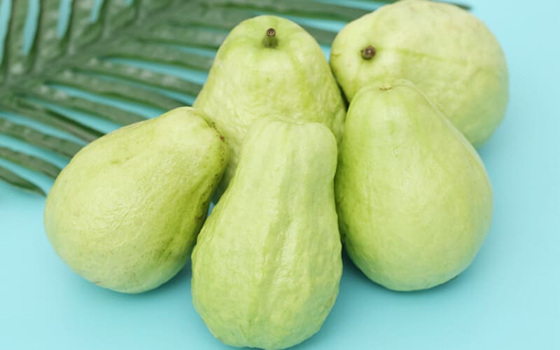 Cách sơ chế ổi trước khi bảo quản Cách sơ chế ổi trước khi bảo quản