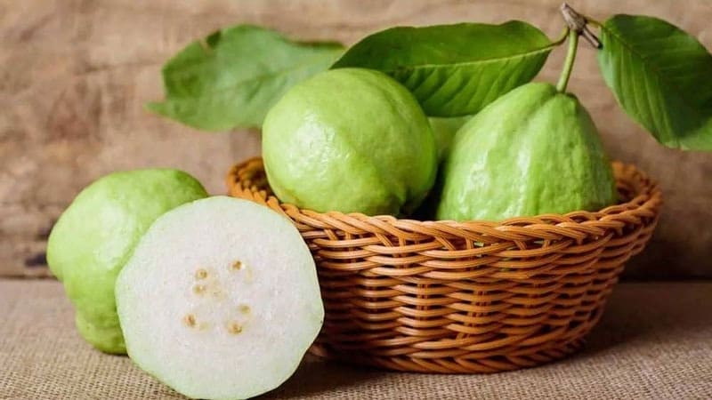 Tránh ánh nắng trực tiếp Tránh ánh nắng trực tiếp