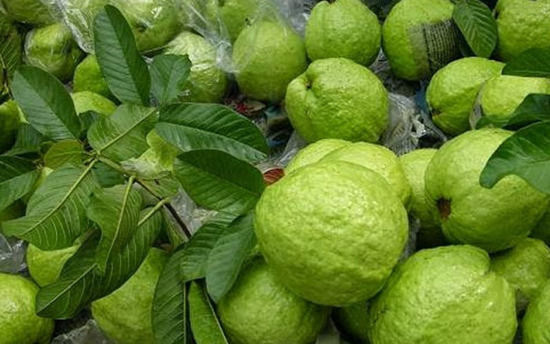 Nhiệt độ phù hợp để bảo quản Nhiệt độ phù hợp để bảo quản